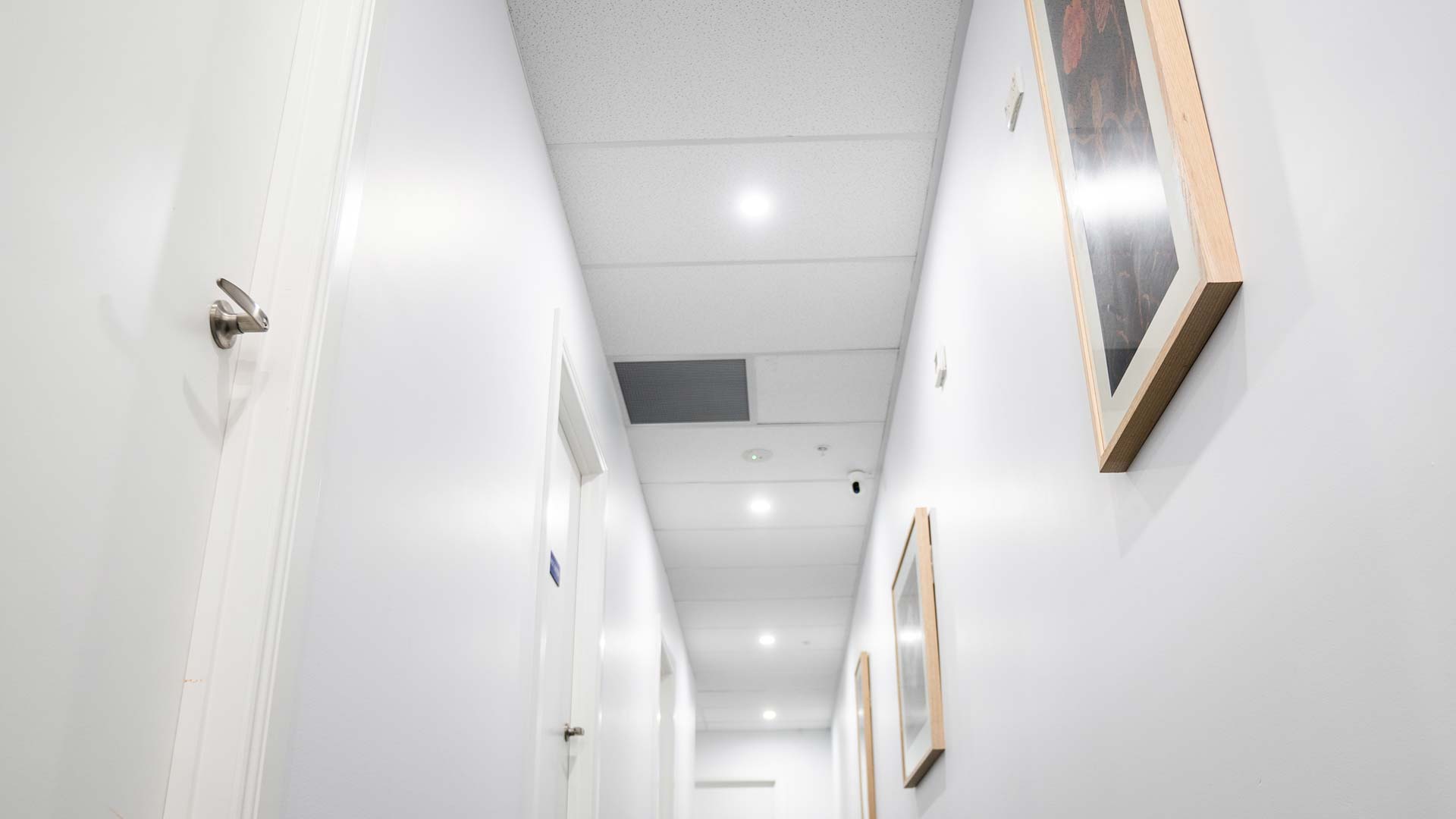 Jells - Project Image 3
