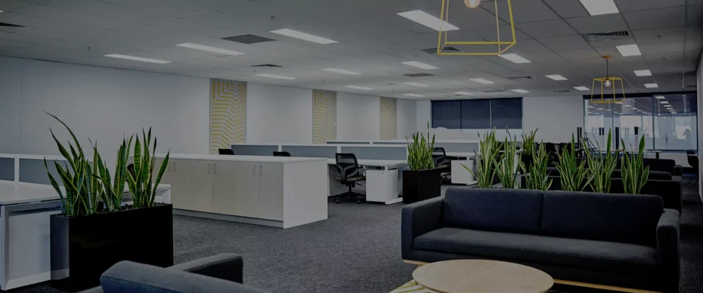 Office Fitouts