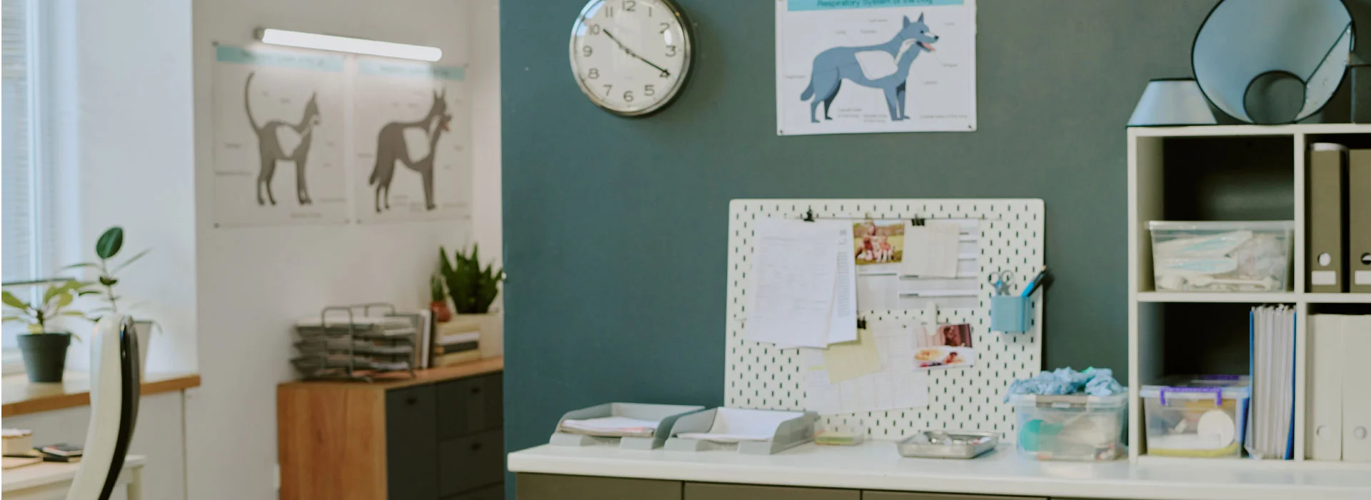 vet fitouts
